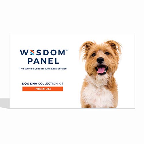 Wisdom Panel Premium, New and Improved Dog DNA Test for Comprehensive