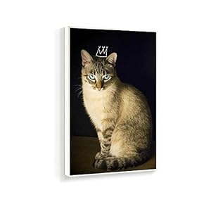 Framed Canvas Wall Art for Living Room, Bedroom Humorous Cat Canvas Prints for Home Decoration Ready to Hanging - 16x24 inches