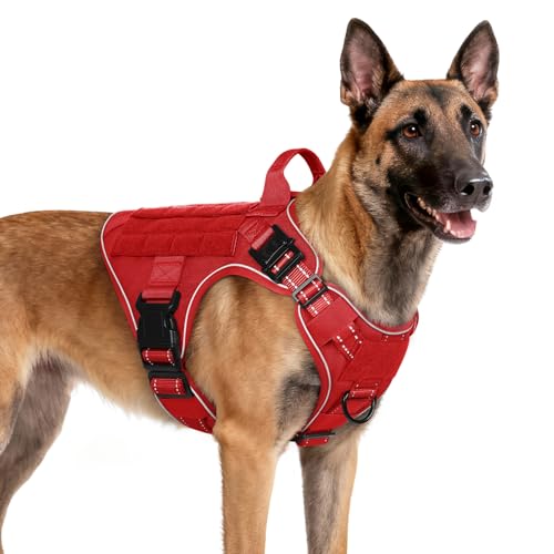 Rabbitgoo Tactical Dog Harness