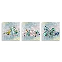 3Piece Canvas Wall Art - Succulent Plant - Canvas Prints Home Artwork Decoration for Living Room,Bedroom - 12