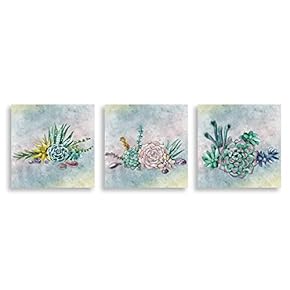 3Piece Canvas Wall Art - Succulent Plant - Canvas Prints Home Artwork Decoration for Living Room,Bedroom - 12"x12"x3 Panels