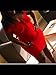 TOB Women's Sexy Bodycon Ruched Off Shoulder Lace Up Club Mini Dress Red