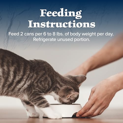 BLUE BUFFALO WILDERNESS NATURAL HIGH-PROTEIN GRAIN-FREE WET FOOD FOR ADULT CATS, SALMON PATÉ, 3-OZ. CANS, 24 COUNT