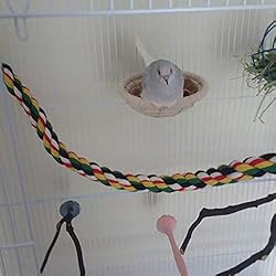 Orgrimmar Handmade Cotton Rope Bird Nest Breeding