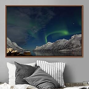 signwin Framed Canvas Wall Art Dayspring Astronomy &...