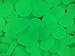 Glow Roxx - 100 Pcs (Blue) of Glow in the Dark Rocks Perfect Accent Pebbles for your Driveway, Pathway, Wedding Favors and Decorative Fairy Garden - As seen on Pinterest and Instagram …