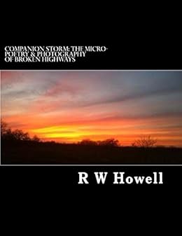 Companion Storm The Micro Poetry Photography Of Broken - 