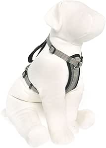 kong pocket harness