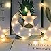 LED Plastic Star Night Light,Nursery Light Wall Decor for Christmas,Birthday Party,Kids Room, Baby Room Table Lamp(White)