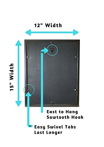 image for XL 15