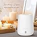 MAJESTIC PURE USB Essential Oil Diffuser, Portable Aromatherapy Diffuser, Travel Size, Auto Shut-off for Spa Room, Home, Office, Bedroom – BPA Free, 120 mlthumb 1