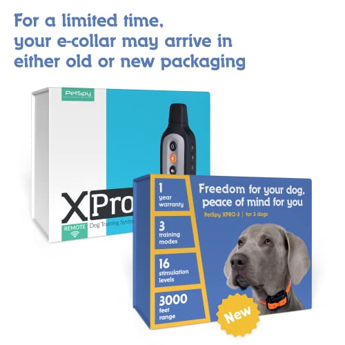PetSpy XPro 3 Dog Training Shock Collar for 3 Dogs, 1000 Yards, Small
