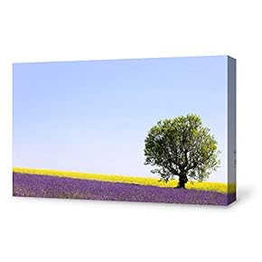 Canvas Wall Art for Living Room,Bedroom Home Artwork Paintings Romantic Lavender Ready to Hang - 12x18 inches