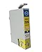 Colour-Store 10 Packs Remanufactured 252XL Ink Cartridges (4 Black, 2 Cyan, 2 Magenta, 2 Yellow) Color Set Use for Workforce WF-3630 3640 3620 7610 7620 7110