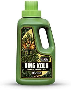 King Kola (1 Quart)