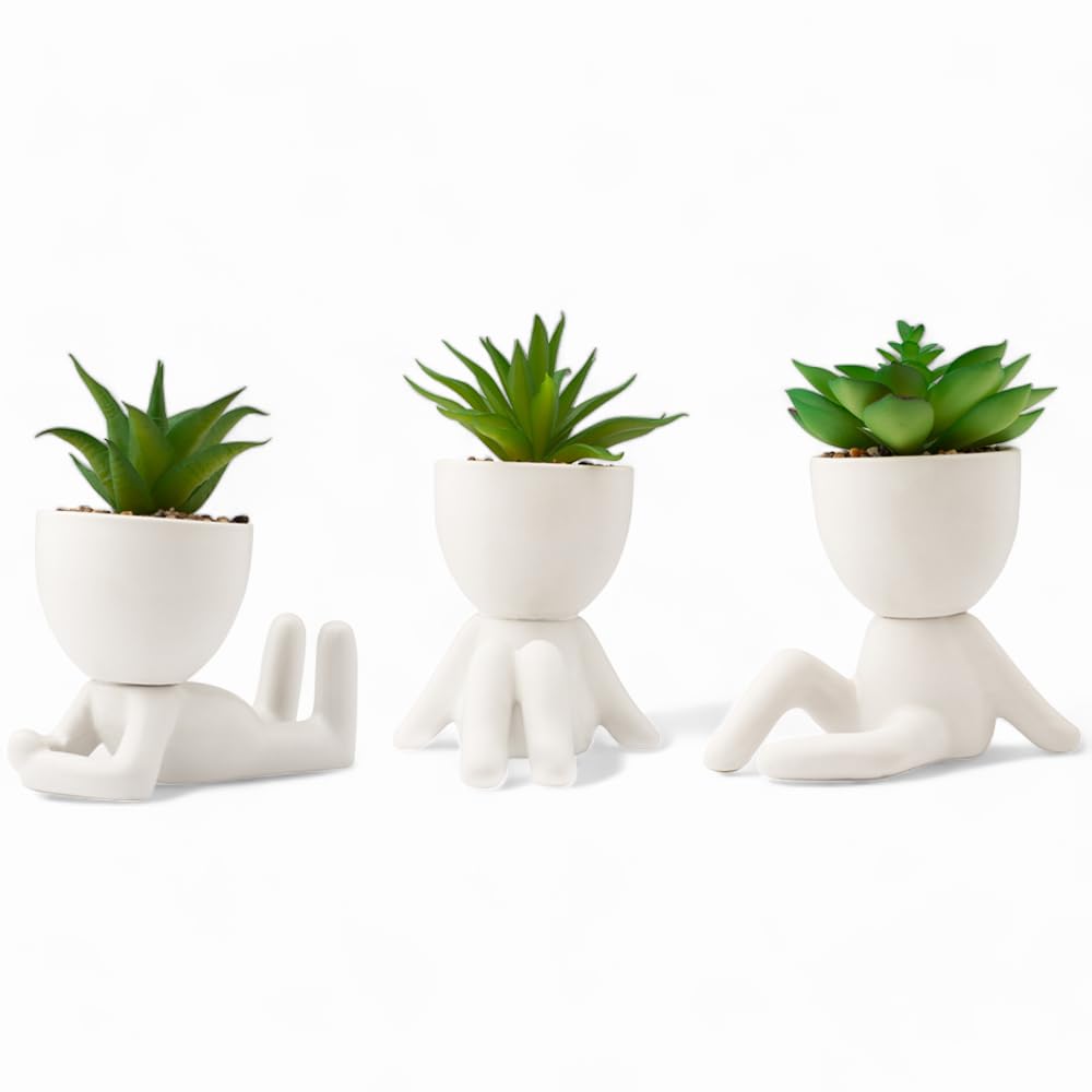 LUNIER Seated Succulent Set (Set of 3) | Porcelain Pots with Small Artificial Plants (Indoor) | Faux Plant for Indoors | Bedroom, Office Desk, Bathroom Plant-Set | Small Fake Plants, Shelf Decorations