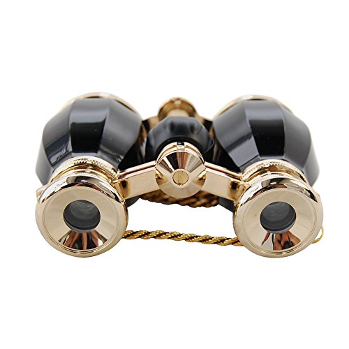 2 HQRP+Glasses+Antique+Elegant+Necklace