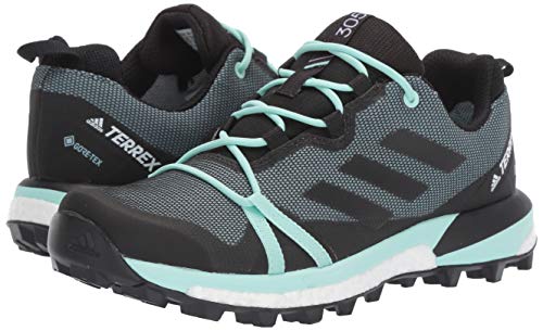 adidas-outdoor-Womens-Terrex-Skychaser-Lt-GTX-Walking-Shoe