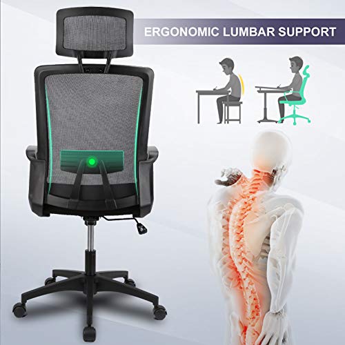 Ergousit Home Office Chair Ergonomic Desk Chair Mesh Computer Chair with Lumbar Support Armrest