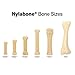 Nylabone Dura Chew Souper Bacon Flavored Hollow Stick Bone Dog Chew Toy