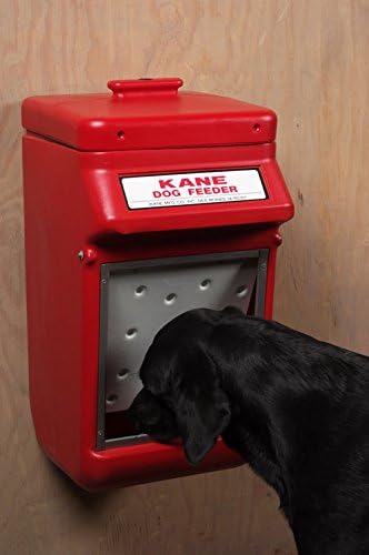 Amazon Com Nasco Automatic Dog Feeder C33654n Garden Outdoor