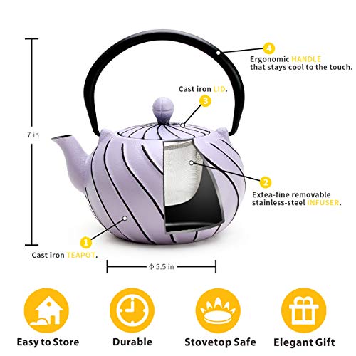 Tea Kettle, TOPTIER Japanese Cast Iron Teapot with Infuser, Stovetop