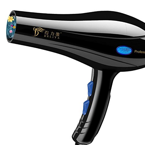 Glorrt Professional Hair Blow Dryer Disbursed Heating 2200W Black Heat Blower Dryer Beauty Salon