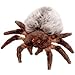 Ty Beanie Babies Hairy the Spider