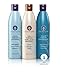 Ovation Color Protection Cell Therapy System - Get Stronger, Fuller & Healthier Looking Hair with Natural Ingredients - Includes Cell Therapy Treatment and Color Treatment Shampoo & Conditioner
