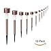 SUNWIND 12-Pack Solar-Powered Stainless Steel Led Pathway Garden Lights for Outdoor Décor Lawn,Patio,Yard,Walkway,Driveway (Copper)