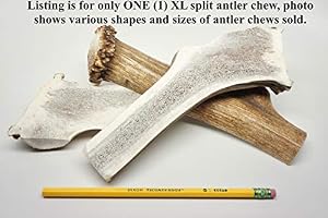 Image of RidgeRunner Antlers ONE (1) Extra Large/Jumbo sized Split Elk Antler Chew Bone For Large Dogs, 8" - 10" long hard base cut, split elk antler chew for large dogs up to 80 pounds, antler dog h