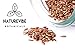 Naturevibe Botanicals Organic Brown Flax Seed (2lb), Gluten-Free & Non-GMO (32 ounces)