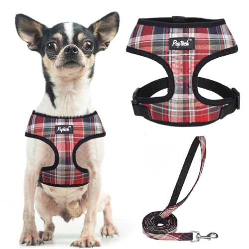 PUPTECK Small Dog Harness Leash Set No