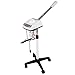 Mefeir Facial Steamer Ozone Ionic Hot Facial Steamer Beauty Salon Spa Makeup Rolling Base