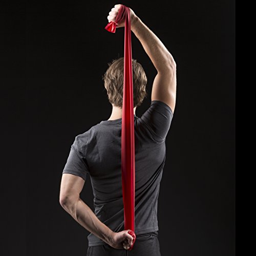 TheraBand Resistance Bands Set, Professional NonLatex Elastic Band for