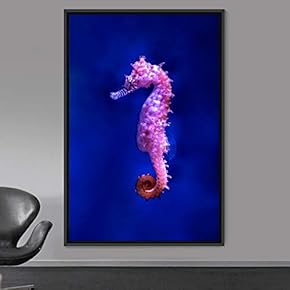 signwin Framed Canvas Wall Art Seahorse Bedroom Colorful...