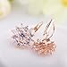 BAMOER 18K Rose Gold Plated Snowflake Leverback Earrings with Cubic Zirconia for Women Girls CZ Jewelry Fashion Drop Earrings 3 Style