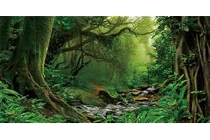 GOTLOS Tropical Forest Decor Aquarium Background, Natural Green Forest Tree Reptile Habitat Background Terrarium Background, Rainforest Aquarium Background 36X24IN with 10 EVA Double-Sided Tape