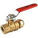 SharkBite 1/2 x 1/2 Inch Ball Valve with FNPT Connector, Push to Connect Brass Plumbing Fitting, PEX Pipe, Copper, CPVC, PE-RT, HDPE, 22182-0000LF