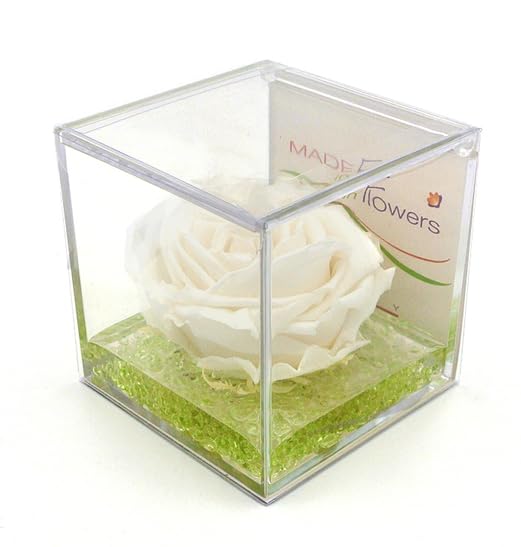 white stabilized pink, in plexiglass cube 8cmX8cmX8cm