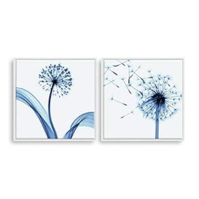 2 Piece Framed Canvas Home Artwork Decoration Transparent Flower Canvas Wall Art for Living Room, Bedroom - 16"x16"x2 Panels