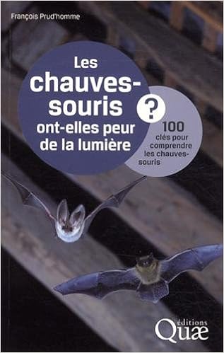 chauves-souris-ont-elles-peur-de-la-lumiere