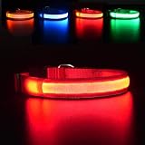 MASBRILL Light Up Dog Collar LED USB Rechargeable Red L Waterproof