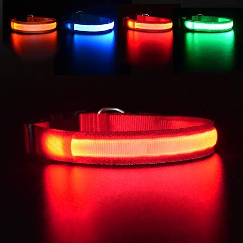 MASBRILL Light Up Dog Collar, LED Dog Collar Lights for the Dark, Rechargeable and Waterproof Flashing Dog Collars with 3 Glowing Modes, Adjustable Pet Collar for Small/Medium/Large Dog(Red S) โ image 1