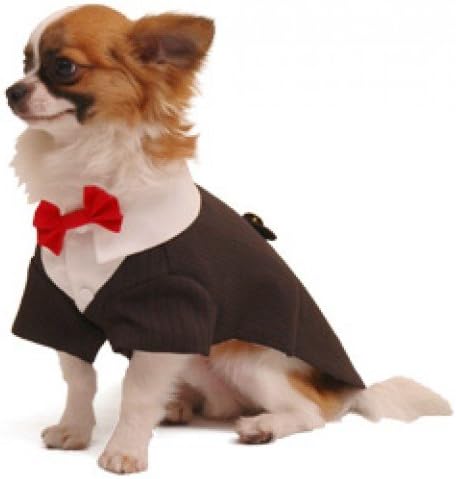Pooch Outfitters PRRT-S Ruff Tux Dog Tuxedo, S, red