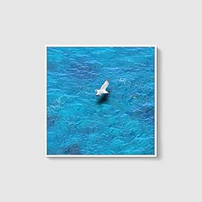 Framed Canvas Home Artwork Decoration Night Canvas Wall Art for Living Room, Bedroom - 16x16 inches