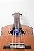 MusicNomad MN302 Humilele Ukulele Humidifier
