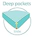 Where The Polka Dots Roam Animals Queen Size 4 Pieces Bedding Set, Super Soft Bedding, 1 Fitted Sheet, 1 Flat Sheet, 2 Pillowcases, Bedsheets for Kids, Boys, Girls, Forest and Wild Animals Bedding