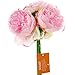Silk Peony Bouquet 5 Heads Deep Pink SOLEDI Artificial Fake Flower Bunch Bouquet Bridal Bouquet Wedding Living Room Table Home Garden Decoration