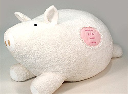 B00lhy7v0k 家庭円満こぶたのぷーちゃん 女の子 ウェイトドール完成品 体重ベアウェイトドール 全国宅配無料